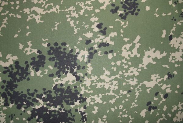 disperse pringting